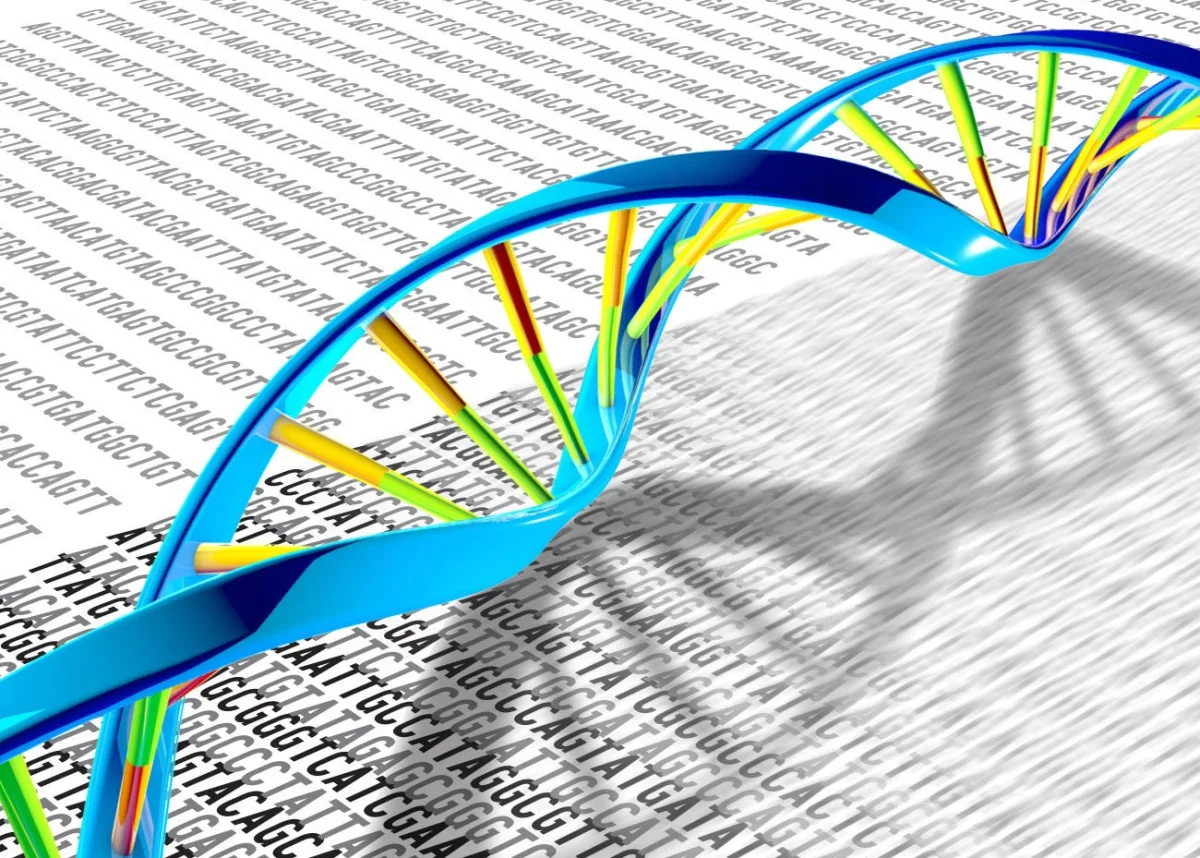 Prime Editing Enters a Wilson Disease Trial, With Human Results Still to Come