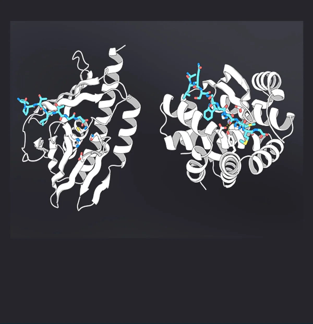 AI-Designed Proteases Show Promise, While Atomic-Level Tools Aim to Improve Enzyme Design