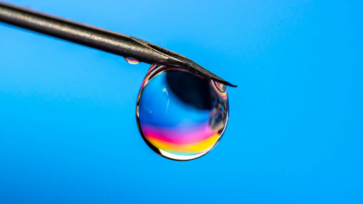 Synthetic Cell Research Advances, but Scientists Still Debate What Counts as Life